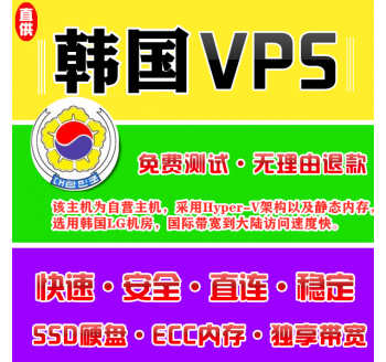 韩国VPS机房4096M国外，搜索引擎优化word格式